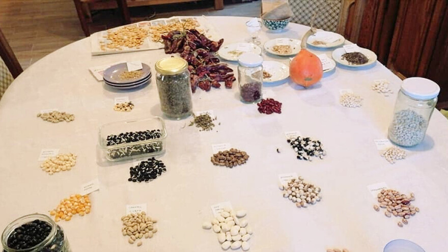 Da li se vraćamo uzgoju autohtonih sorti povrća i žitarica?