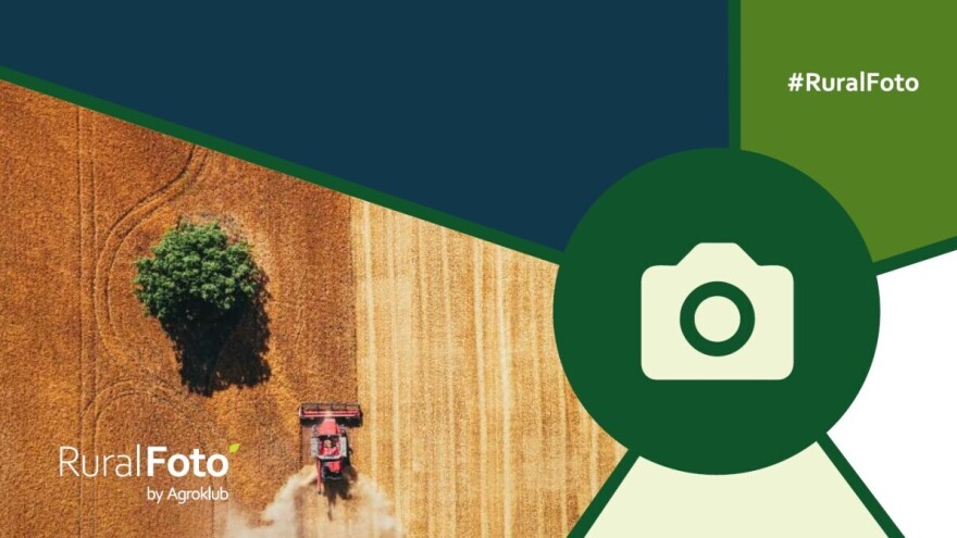 Biramo najbolje ruralne fotografije u 2024. godini - nominirajte svoju