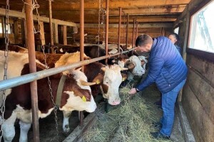 Ulaganja dala rezultat: U KS očekuju rast proizvodnje mlijeka