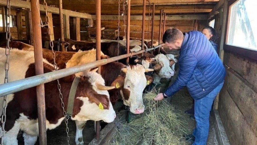 Ulaganja dala rezultat: U KS očekuju rast proizvodnje mlijeka