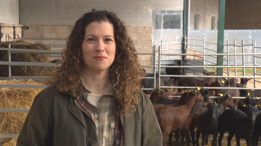 Iako ima veliku želju za proširenjem uzgoja koza i proizvodnje sira, radne snage - nema