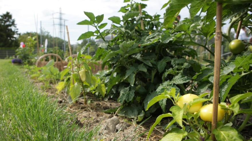 Instinkt poljoprivredniku više nije dovoljan - sve više će se oslanjati na tehnologiju