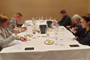 Koji su zlatni hrvatski cabernet sauvignoni?