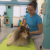 Veterinarka pokrenula jedinstven centar za rehabilitaciju pasa
