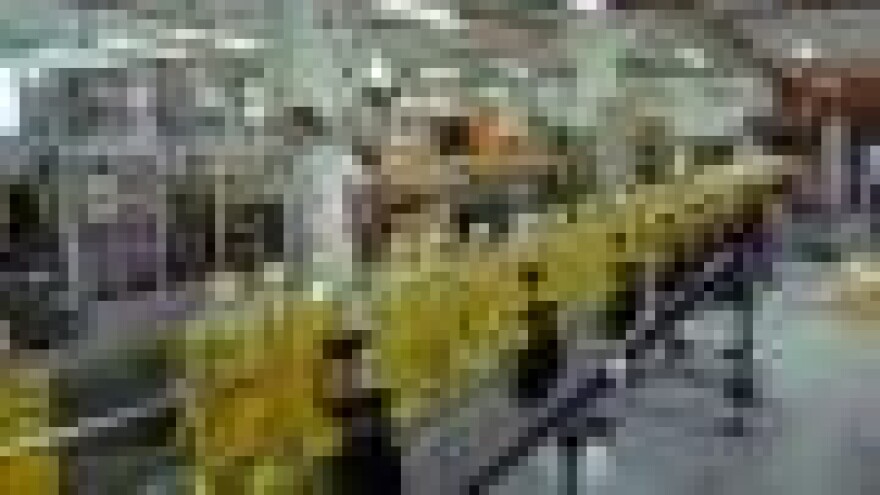 Pet do dvanaest za spas uljare