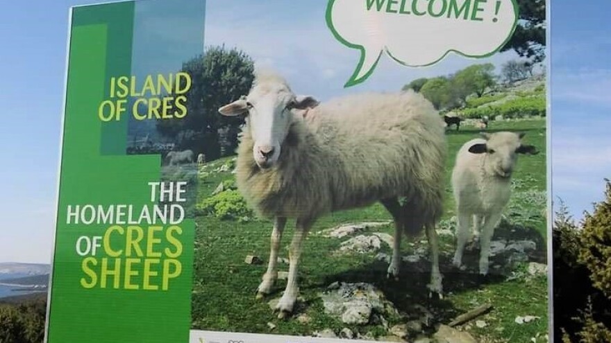 LAG Kvarnerski otoci - mjesto izvornih hrvatskih pasmina ovaca, krčke i creske