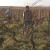 Snima filmove za vinogradare i time pomaže u njihovoj promociji