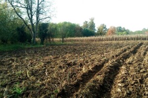Jesensko oranje možete obaviti i krajem novembra, što povoljno utiče na proljetne usjeve
