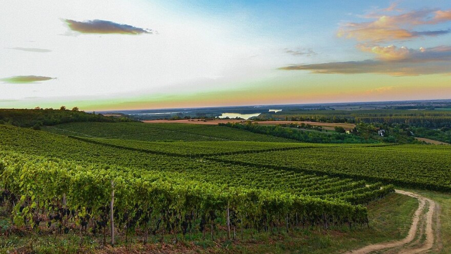 agroNET digitalna platforma - od polja do stola