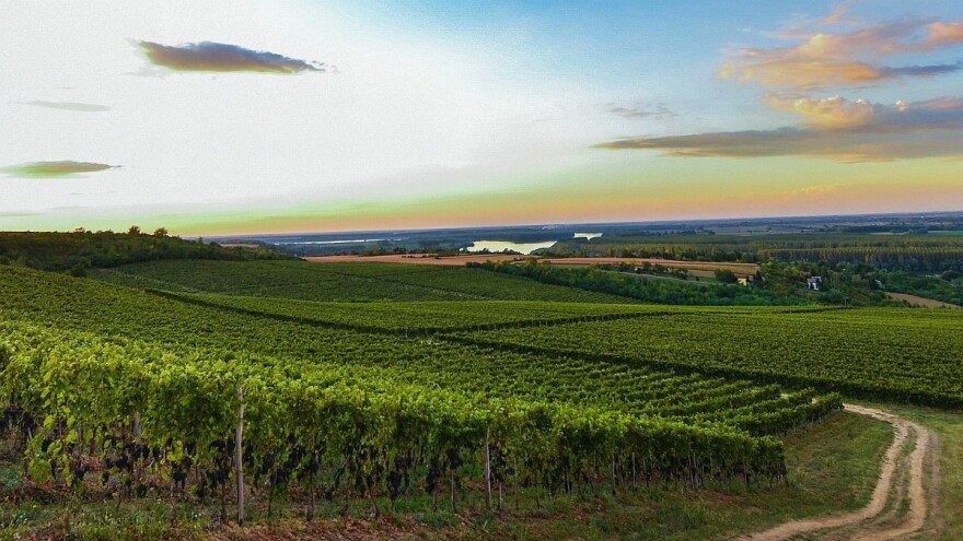 agroNET: Nove tehnologije u našem ataru