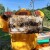 Pčelarstvo za početnike - šta vam treba i kada početi formirati svoj pčelinjak?