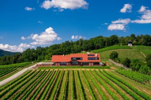 Decanter bookazine prvi put u licenciranom izdanju u Hrvatskoj