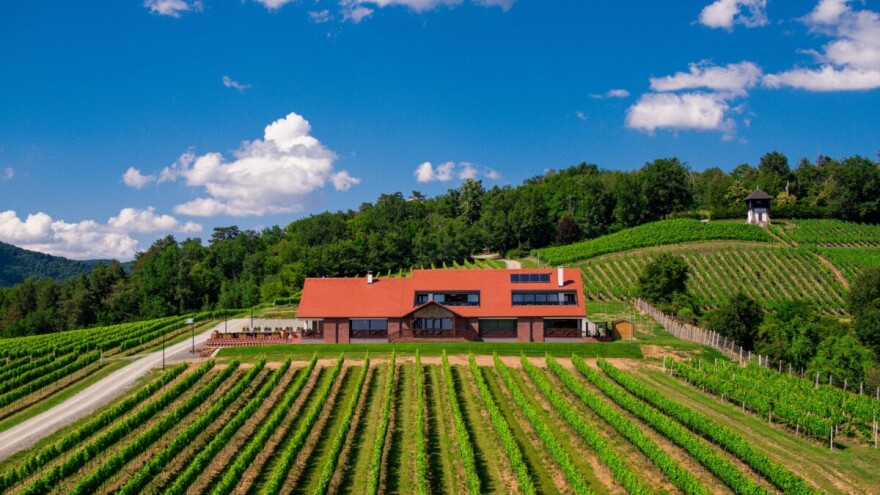 Decanter bookazine prvi put u licenciranom izdanju u Hrvatskoj