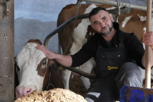 Djed negoduje, a Mati bolje s kravama u Posavini nego u Austriji