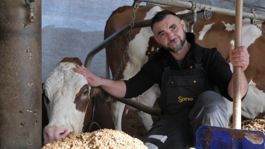 Djed negoduje, a Mati bolje s kravama u Posavini nego u Austriji