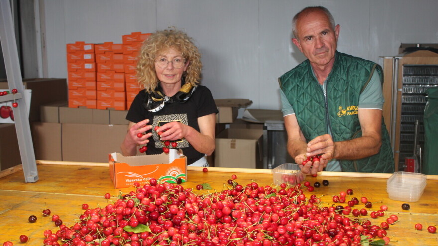 Svježe voće, povrće i krumpir u školama i vrtićima s poljoprivrednog gospodarstvo Črv