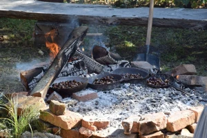 Ne propustite tradicionalnu, već 23. Zelinsku kestenijadu