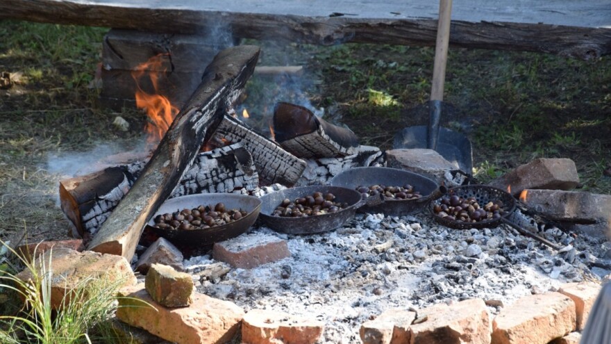 Ne propustite tradicionalnu, već 23. Zelinsku kestenijadu