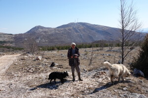 Pašnjačke površine za planinske krajeve život znače, a korisne su i za šumarstvo