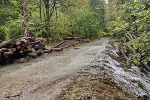 Obilne kiše stvorile velike probleme šumariji Delnice