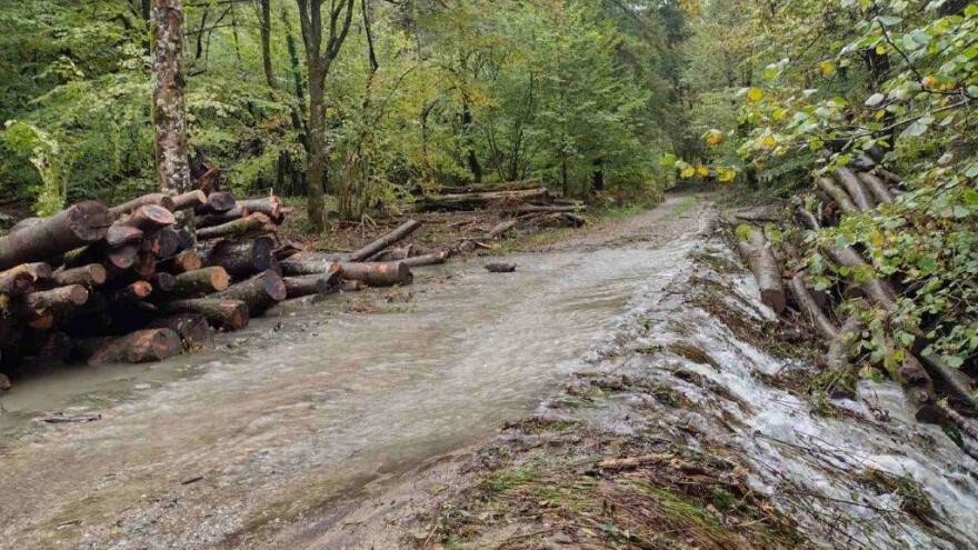 Obilne kiše stvorile velike probleme šumariji Delnice