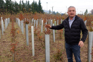 Izostanak uroda sjemena šumskih vrsta temeljni je problem šumarstva budućnosti
