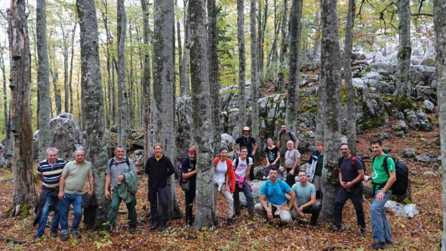 Mapiranje prašuma i starih šuma: I Štokić duliba ide pod zaštitu