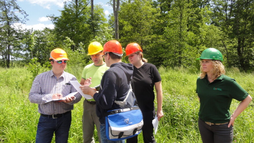 FSC® certifikat: U svijetu bitan, no Hrvati ga još uvijek ne doživljavaju?