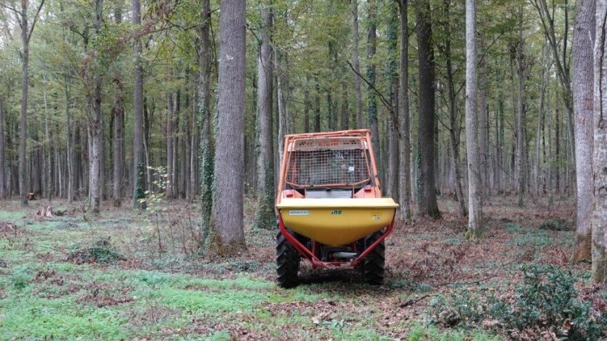 Urod žira igrat će ključnu ulogu u sanaciji spačvanskog bazena