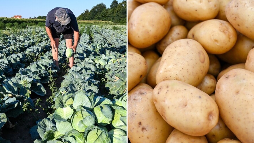 BiH zaštitila još četiri svoja tradicionalna proizvoda