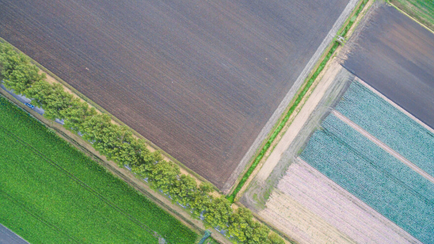 Najam poljoprivrednog zemljišta - velike razlike u cijeloj EU