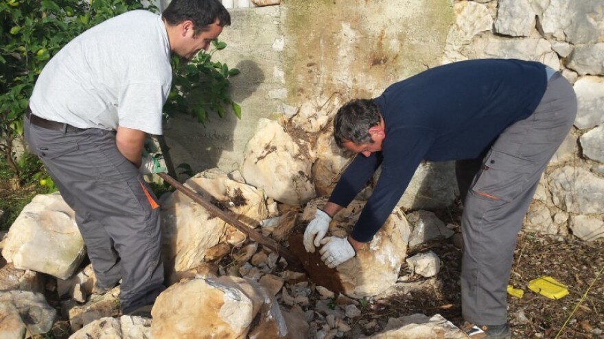 Obnavljaju se Vrtovi Lunjskih Maslina!