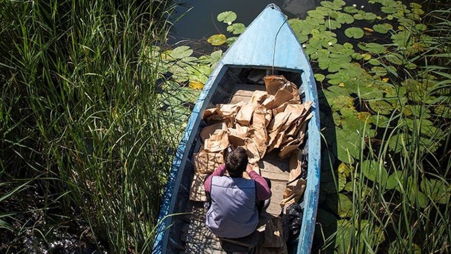 Upitna proizvodnja mandarina - ove godine nema zaštite od sredozemne voćne muhe?