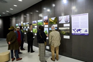Fotografija istarskog vinograda među 50 svjetskih pejzaža na izložbi muzeja Cité du Vin