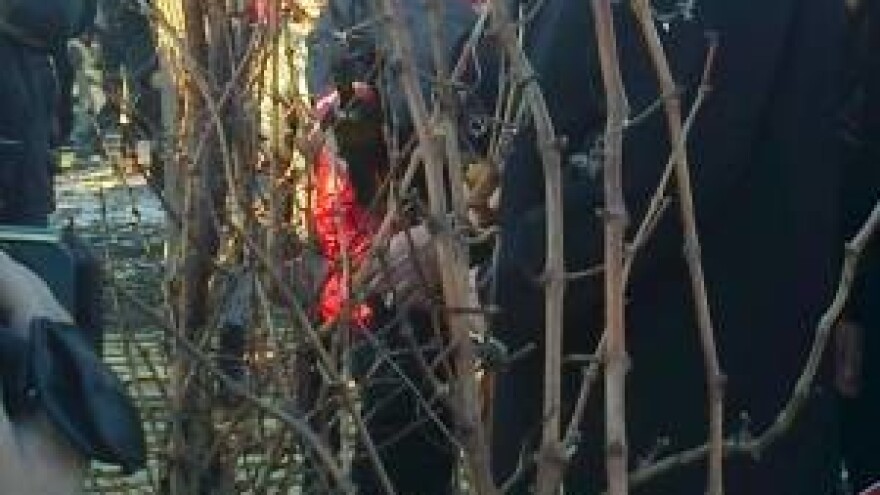 Bit će vina, bit će i Iloka