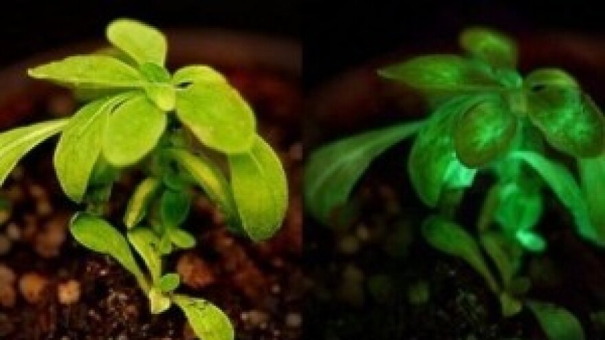 Predavanja na Poljoprivrednom institutu Osijek