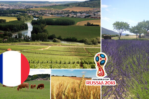 Francuska proizvodi 250 vrsta sireva, 4,6 milijardi litara vina, a godišnje svaki Francuz pojede 90 kg mesa