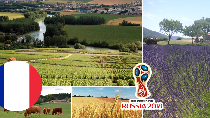 Francuska proizvodi 250 vrsta sireva, 4,6 milijardi litara vina, a godišnje svaki Francuz pojede 90 kg mesa