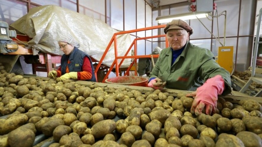 Proizvodnja čipsa ostaje u Hercegovcu