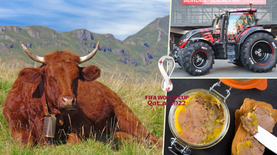 Francuska ima "farmersku" ligu i poljoprivredna je velesila koju godinama muče brojni problemi