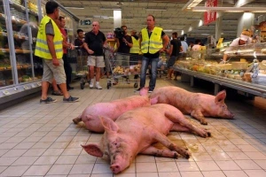 Francuski farmeri pustili svinje u tržni centar
