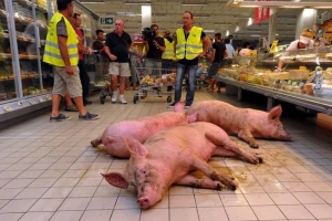 Francuski farmeri pustili svinje u trgovački centar