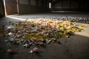 Francuski proizvođači jaja protestiraju zbog pada cijene jaja