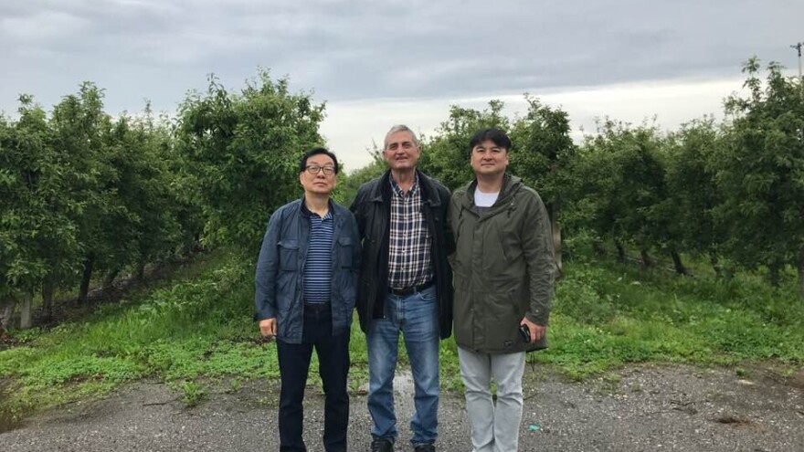 Korejci kupuju 50 hektara voćnjaka i proizvodnju soka od Frane Ivkovića?