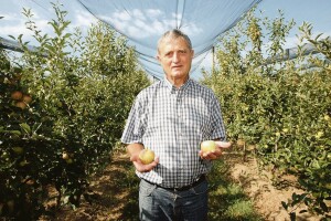 Frane Ivković: Kraljica voća postala je prosjakinja, dođe mi da poberem jabuke i odvezem pred Ministarstvo