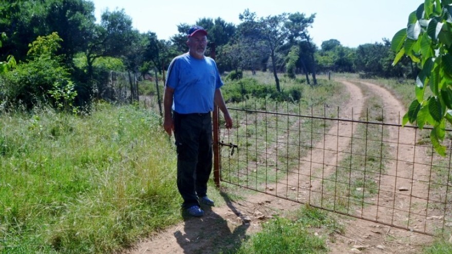 Napadi vukova najčešći kod promjene vremena: Frani Pavloviću uskočili u pritorak i zaklali tri ovce!
