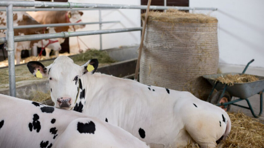 Osjeća se oporavak farmi, ali i nedostatak genetike