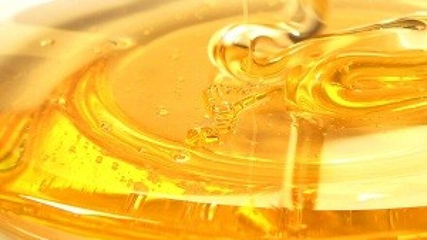 Zavidna kvaliteta slavonskog meda