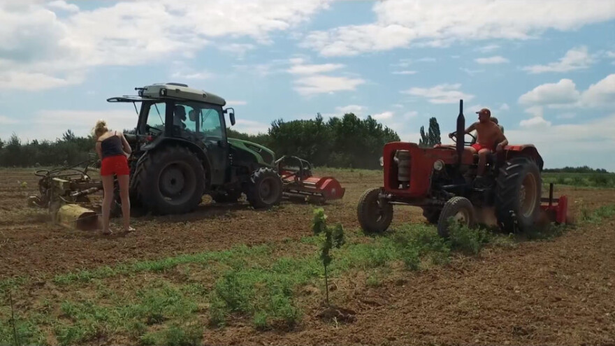 Agrotehnička mera: Freziranje u mladom voćnjaku