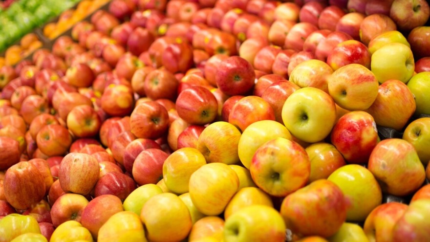 Povećan izvoz voća u Rusiju - Šarović očekuje dozvolu za izvoz hrane životinjskog porijekla